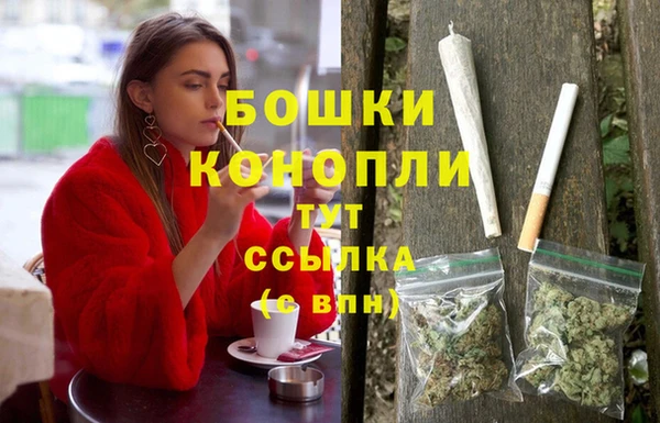 бошки Алексин
