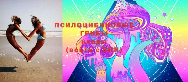 МДПВ Алзамай